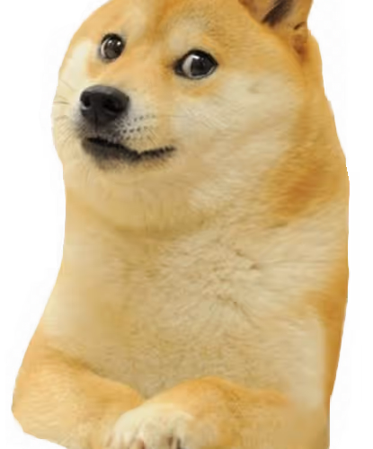 Dog Memes Collection