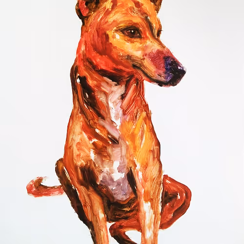 dog19