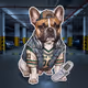 DOGCITY