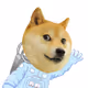 DOGE-1 Mission to the Moon - old