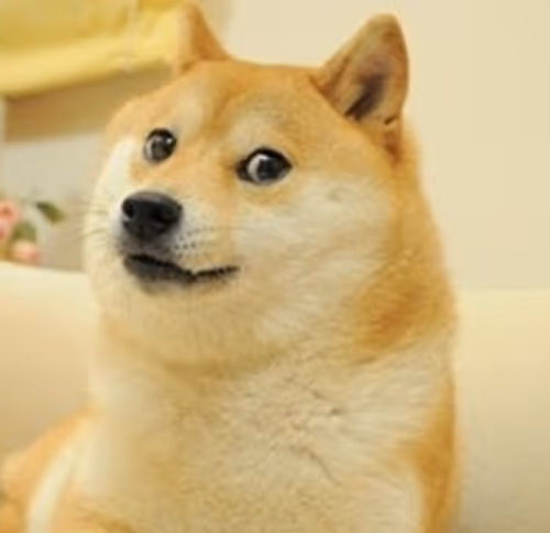DOGE - 9jHsYO3GDd
