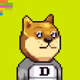 DOGE BROKER