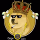 doge coiin - old