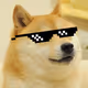 Doge Coin 4L