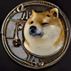 Doge_coin Collection