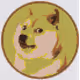 DOGE COIN ELON MUSK