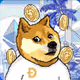 Doge Coin #New