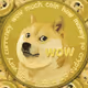 Doge - HbagJORxzh