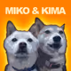 Doge meets Shiba