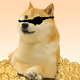 doge pirate
