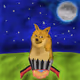 Doge rocket