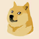 Doge's Family
