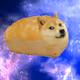 Doge the galaxy