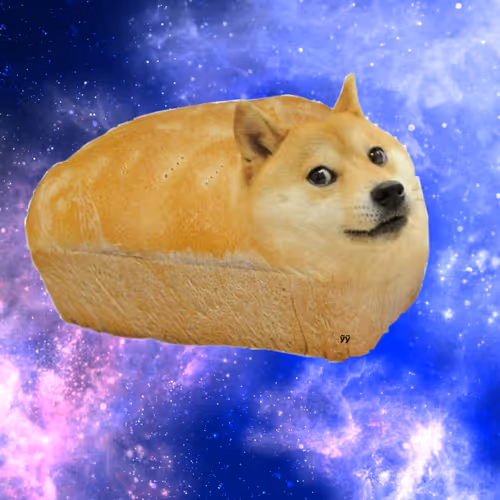 Doge the galaxy
