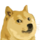 DOGE Things