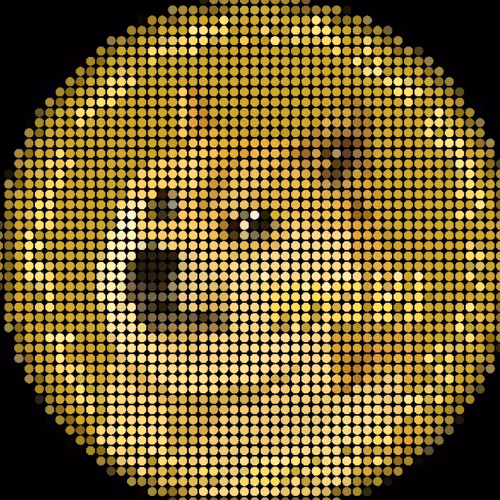 Doge World