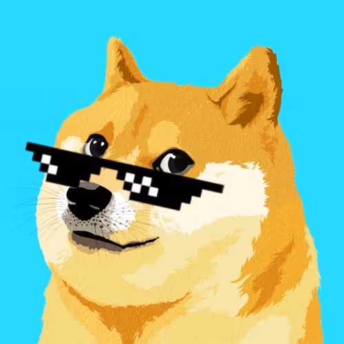 Doge2213