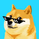 Doge2213