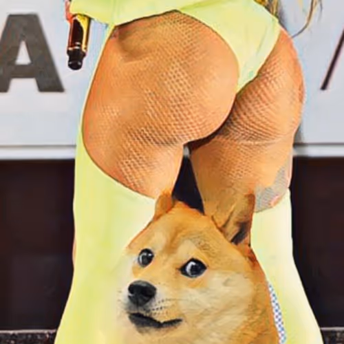 Dogecoin Kicking It with his Dawgs