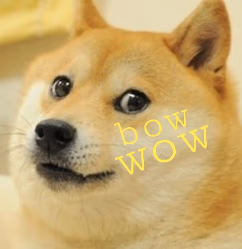 Dogecoin - mZSidqfQDK - old