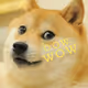 Dogecoin - mZSidqfQDK - old