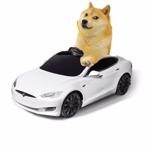 DOGECOIN fan art