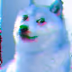 DOGEDAEBAK - old