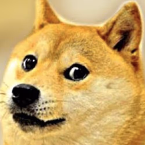 DogeDr