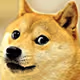 DogeDr