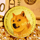 DogeNFT Collection