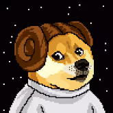 Dogepunks #102 - Princess Doge Organa