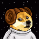Dogepunks #102 - Princess Doge Organa