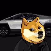 Dogepunks #40 - Cybertruck Testing Doge