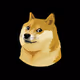 DogeRGB++