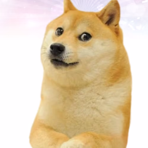 Dogerob