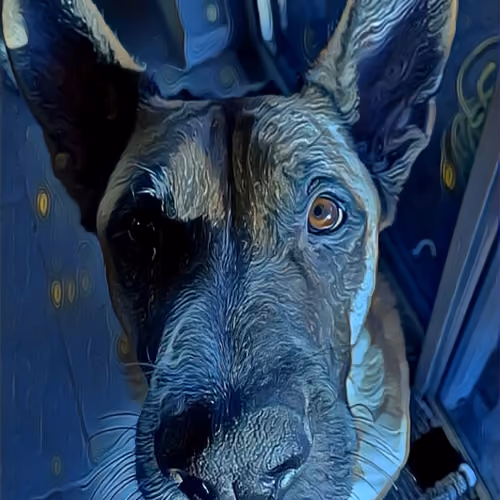 Doggo Collection 1/1