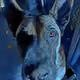 Doggo Collection 1/1