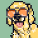 doggy3