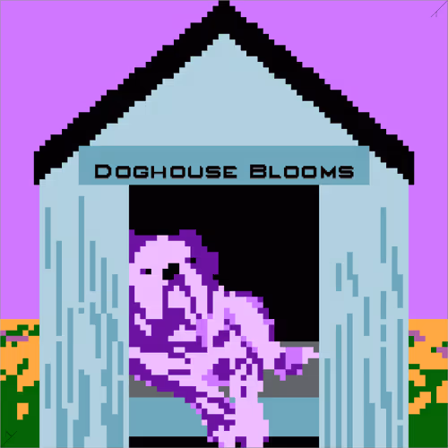 Doghouse Blooms - Rose a Dozen
