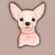 Dogies_Chivas