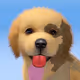 dogiis