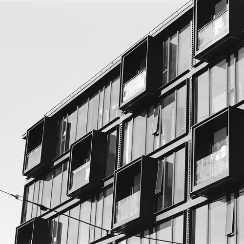 Dogpatch Studies in B/W