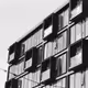Dogpatch Studies in B/W