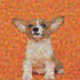Dogs Collection Cloud Artist