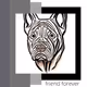 Dogs Gallery