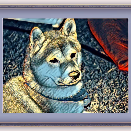 Dogs - YUHSugcEeS - old