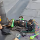 Dogs - Wm3D0gOZW3