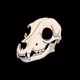 Dogskullz