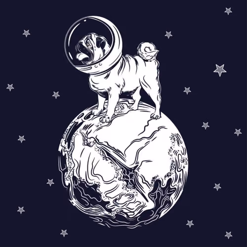 Dogstronaut - old