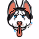 dogtest I - old